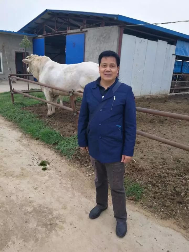 科学防暑降温，助力家禽平稳度夏——高温天气家禽养殖技术指南