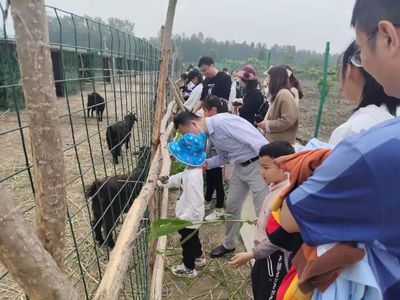 江苏省妇女联合会 助力女性投身家禽技术服务，激发乡村振兴新活力