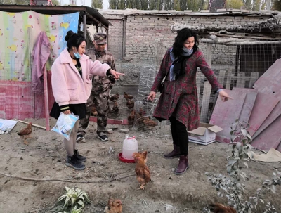 家禽养殖专家深入11团开展技术服务，助力家禽产业提质增效